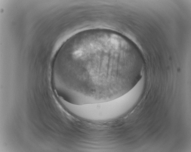 X0000082721508200702232308