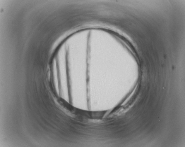 X0000082721509200702232308