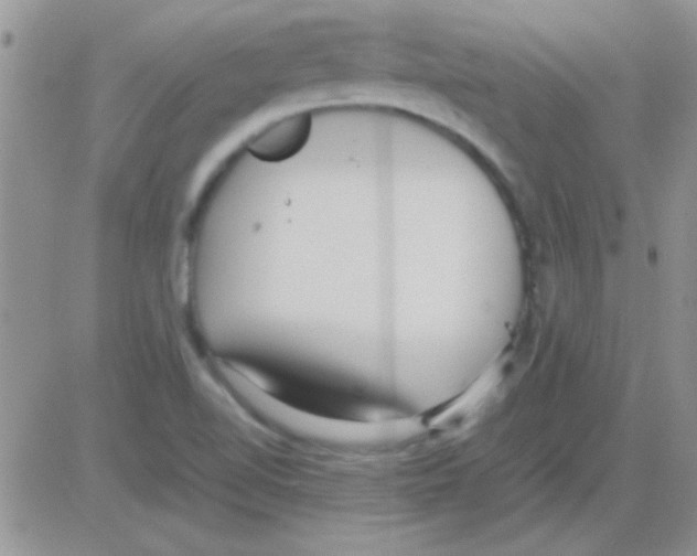 X0000082721510200702232308