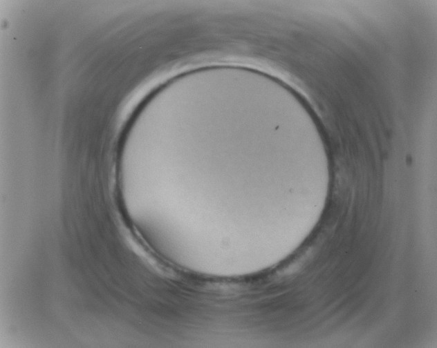 X0000082721511200702232308