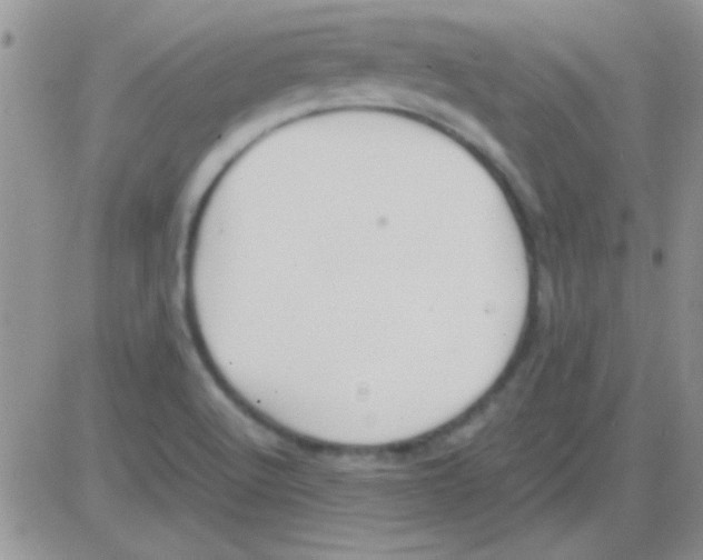 X0000082721512200702232308