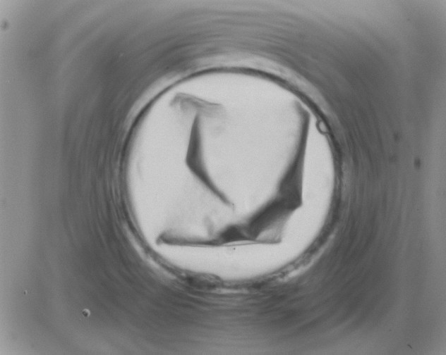 X0000082721513200702232308