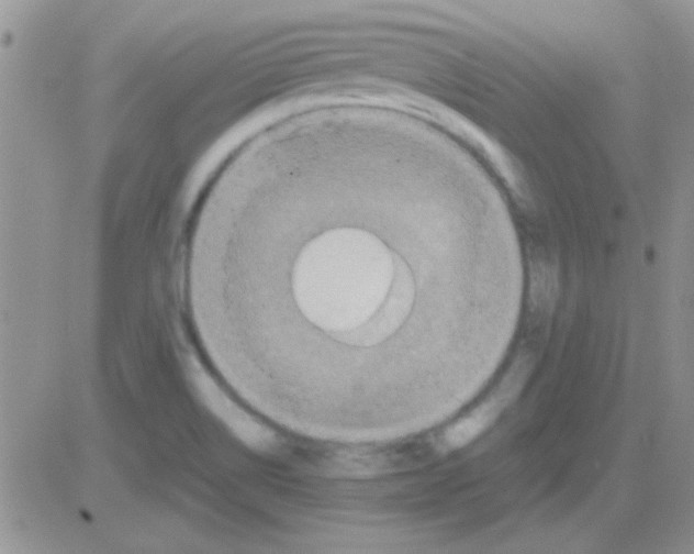 X0000082721514200702232308