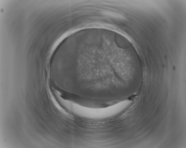 X0000082721515200702232308