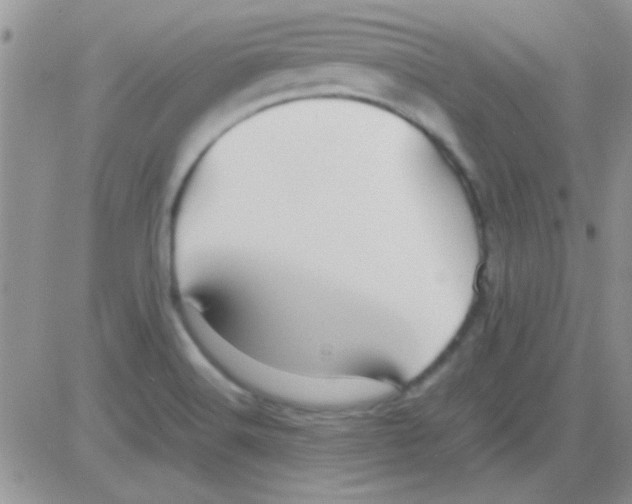 X0000082721516200702232308