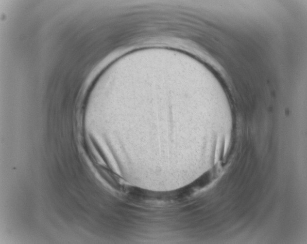 X0000082721517200702232308