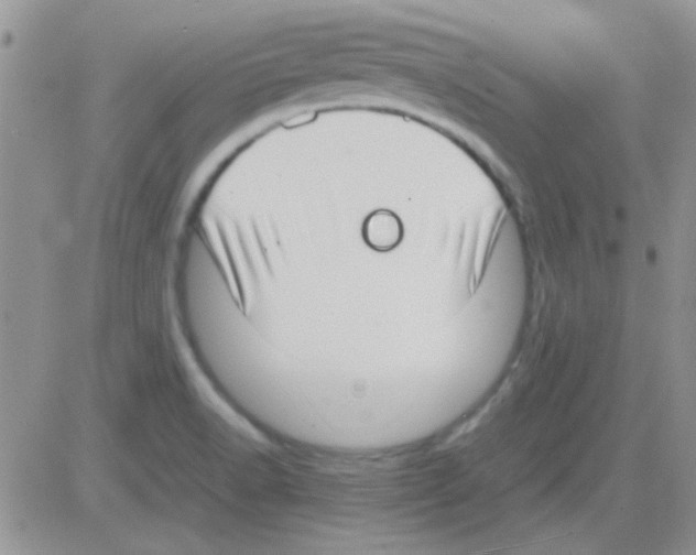 X0000082721518200702232308