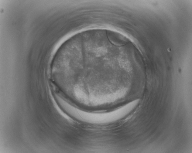 X0000082721519200702232308