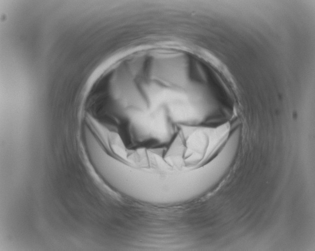 X0000082721520200702232308