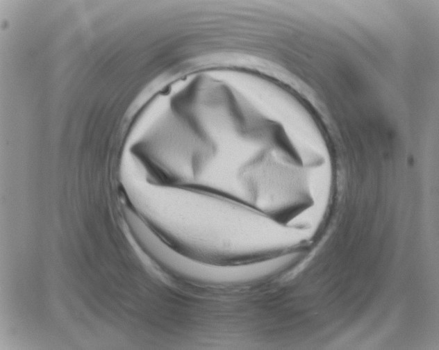 X0000082721521200702232308