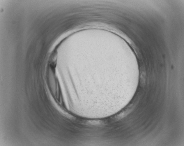 X0000082721523200702232308