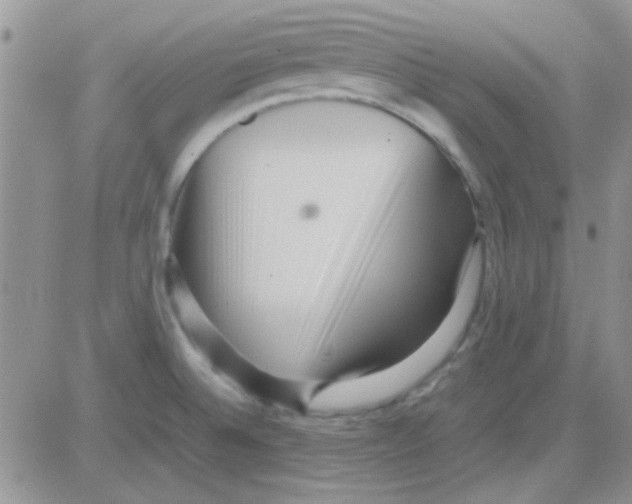 X0000082721524200702232308