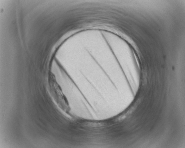 X0000082721525200702232308