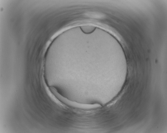 X0000082721526200702232308