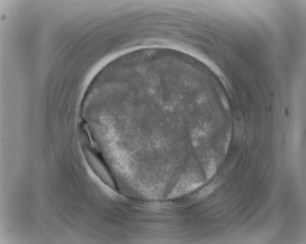 X0000082721527200702232308