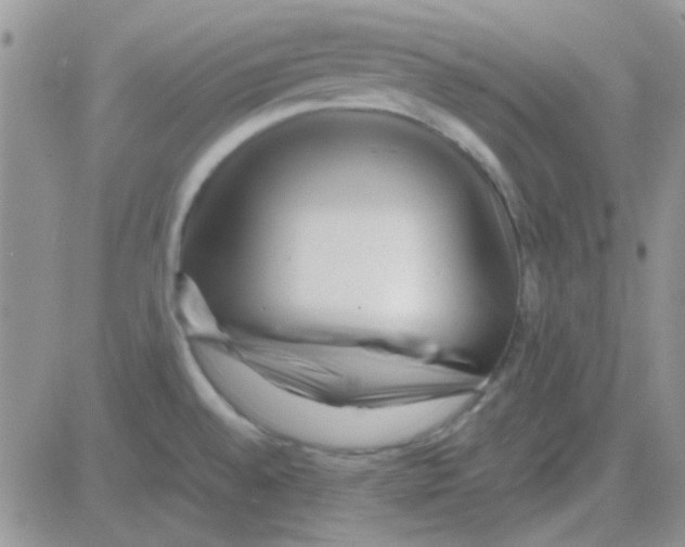 X0000082721528200702232308