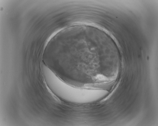 X0000082721529200702232308