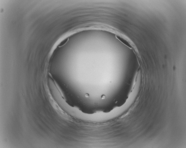 X0000082721530200702232308