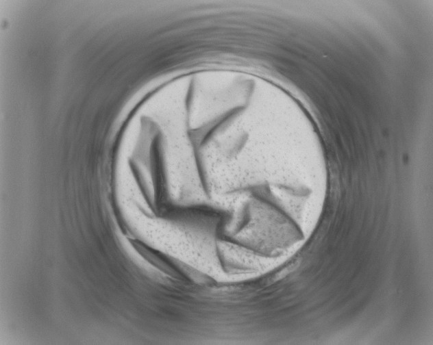 X0000082721531200702232308