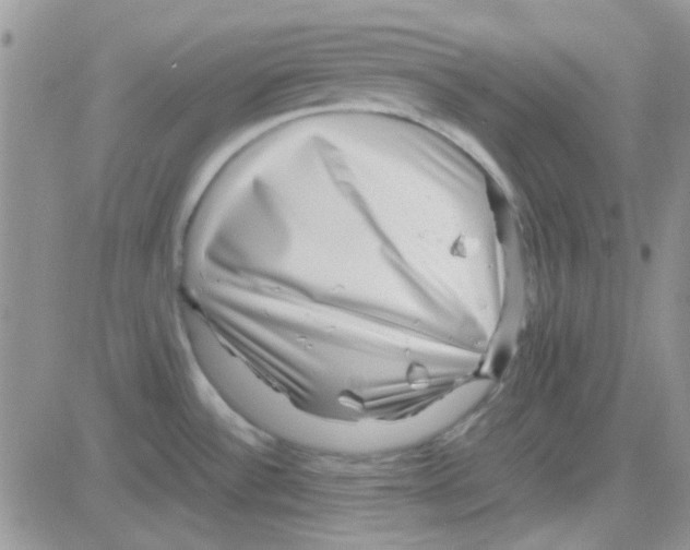 X0000082721532200702232308