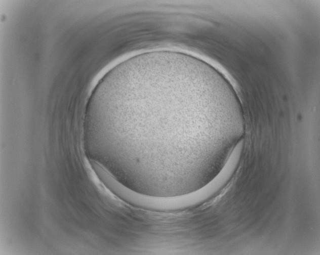 X0000082721534200702232308