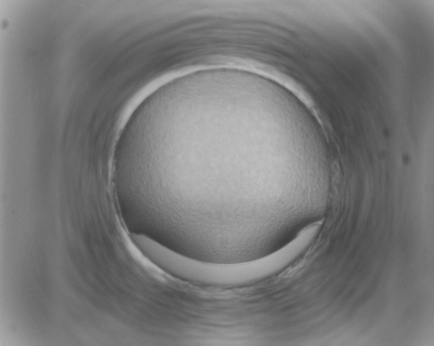 X0000082721535200702232308