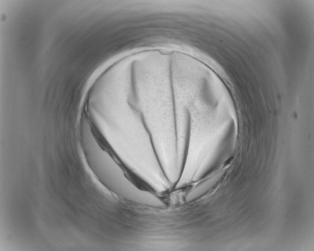 X0000082721536200702232309