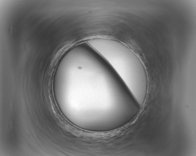 X0000082730001200701261108