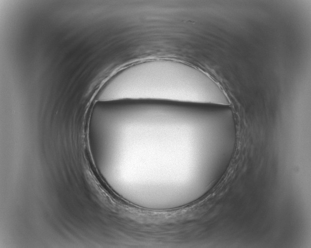 X0000082730002200701261108
