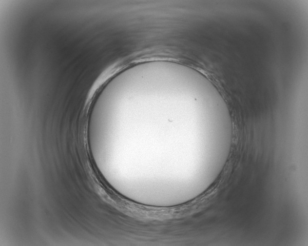 X0000082730004200701261108