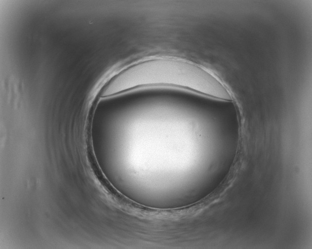 X0000082730007200701261108