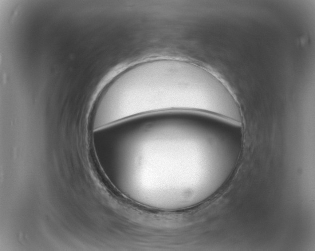 X0000082730008200701261108
