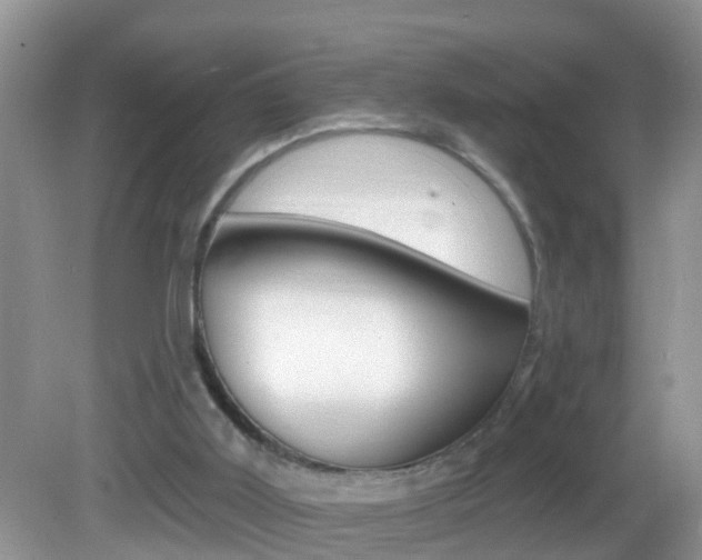 X0000082730011200701261107