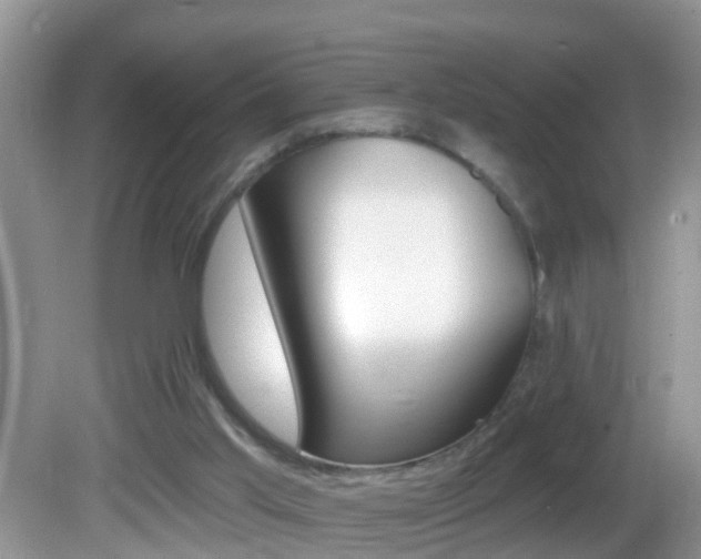 X0000082730013200701261107