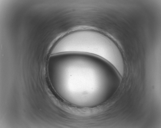 X0000082730015200701261107