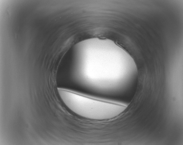 X0000082730044200701261107
