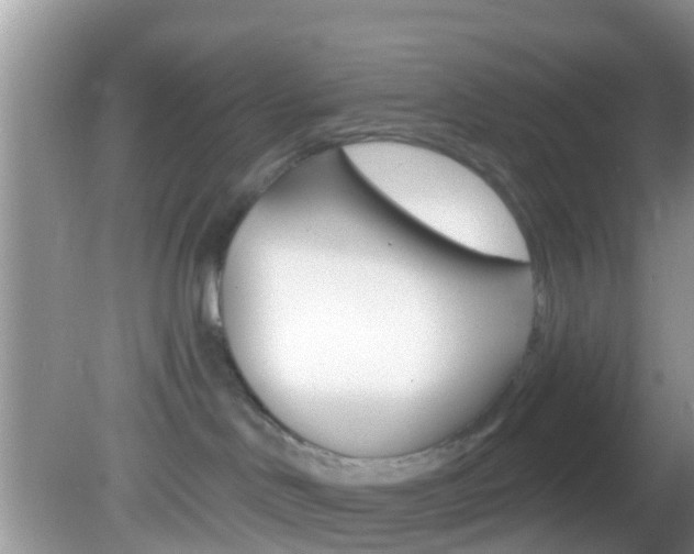 X0000082730046200701261107