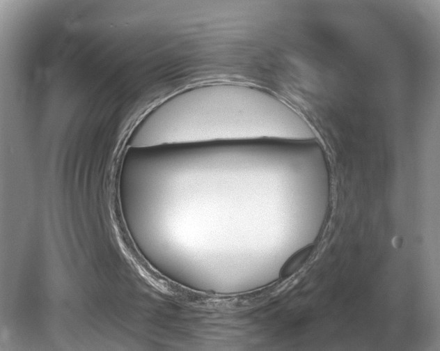 X0000082730049200701261106