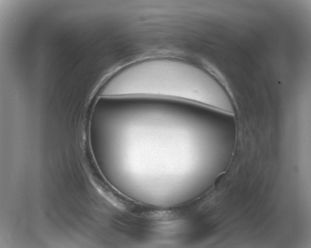 X0000082730059200701261106