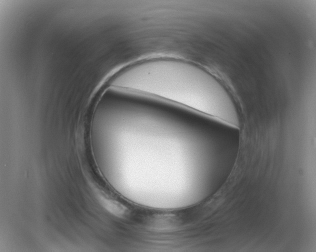 X0000082730108200701261106