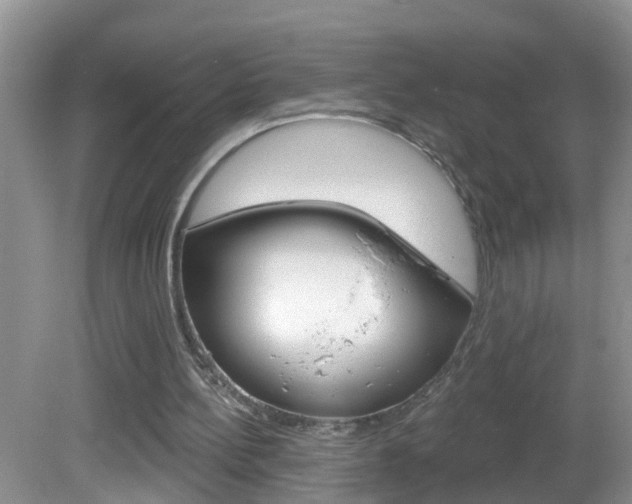 X0000082730148200701261104