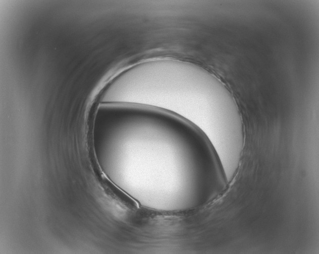 X0000082730150200701261104