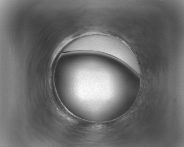 X0000082730152200701261105