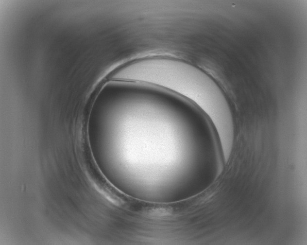 X0000082730156200701261105