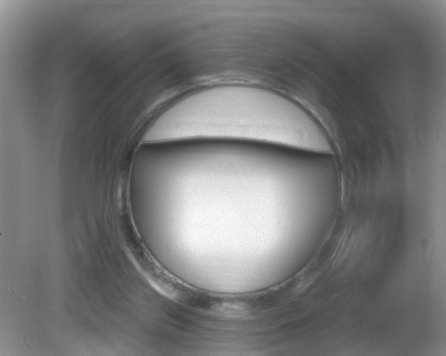 X0000082730157200701261105
