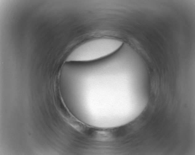 X0000082730167200701261105