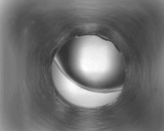 X0000082730184200701261105
