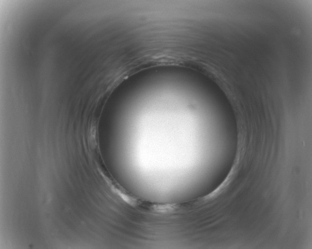 X0000082730192200701261105