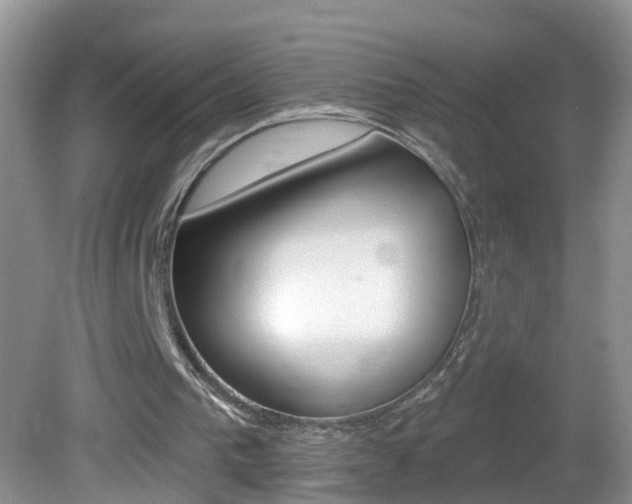X0000082730193200701261104