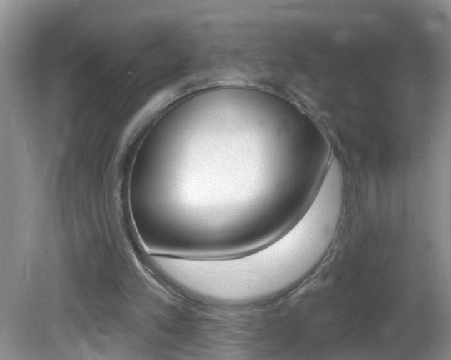 X0000082730197200701261104